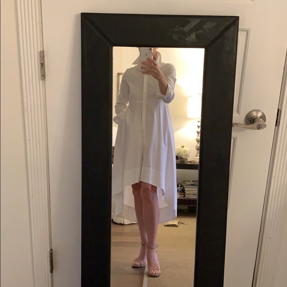 Cos Shirt/Dress